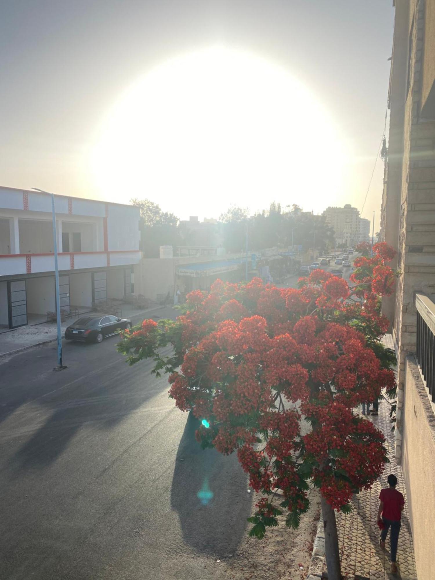 الساحل بجوار السينما والسيرك العالمي وفندق السلام Apartment
